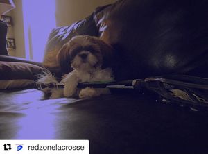Image post by @cascade_lacrosse on Instagram