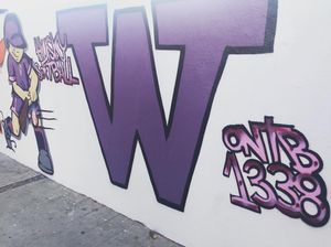 Image post by @uwsoftball on Instagram
