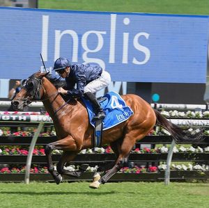 Image post by @australianturfclub on Instagram