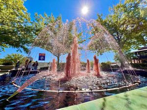 Image post by @uofscalumni on Facebook