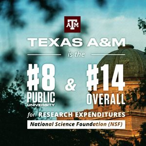 Image post by @tamu on Instagram