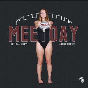 Image post by @arcadia_swim on Instagram