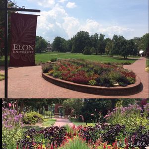Image post by @elonvb on Instagram