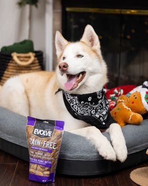 Image post by @evolvepetfood on Instagram