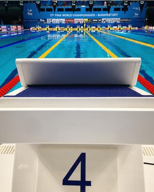 Image post by @arenausa on Instagram