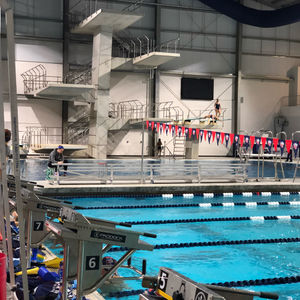 Image post by @libertydiveswim on Instagram