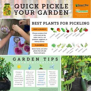 Image post by @kidsgardening on Instagram