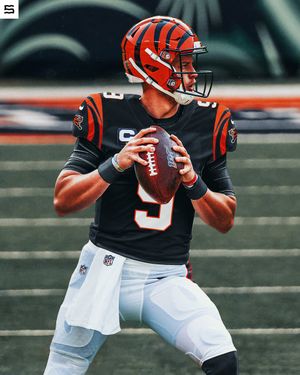 Image post by @SethR94 on Twitter