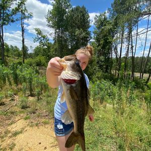 Image post by @leo_outdoors on Instagram
