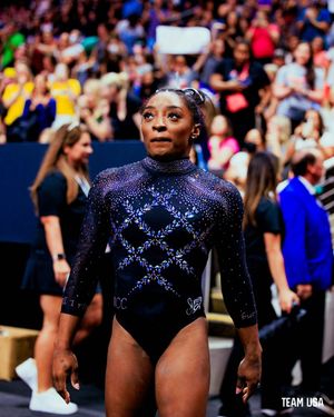 Image post by @TeamUSA on Twitter