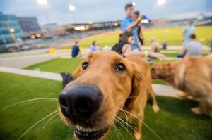 Image post by @colafireflies on Instagram
