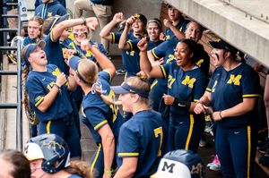 Image post by @umichsoftball on Instagram