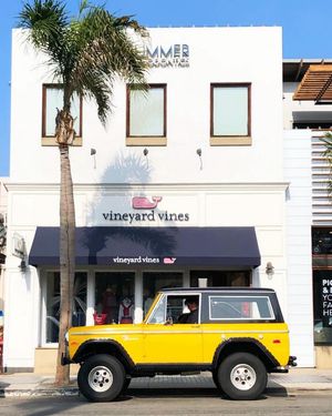 Image post by @vineyardvines on Instagram