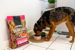 Image post by @evolvepetfood on Instagram
