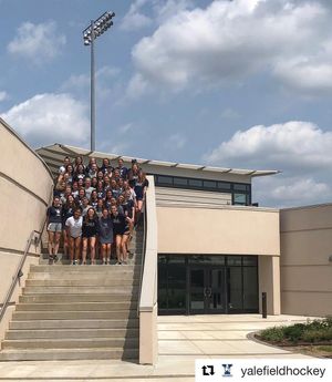 Image post by @yalesoftball on Instagram