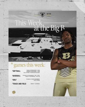 Image post by @beulahbobcats on Instagram