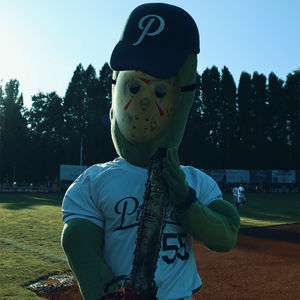 Image post by @picklesbaseball on Instagram