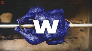 Image post by @elonfb on Instagram