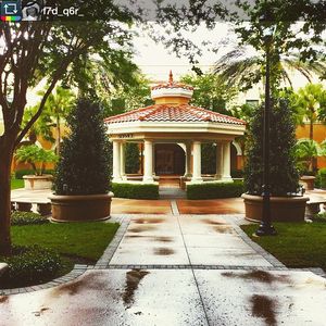 Image post by @rosencollege on Instagram