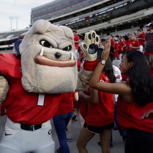 Image post by @universityofga on Instagram