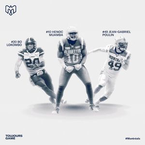 Image post by @mtlalouettes on Instagram