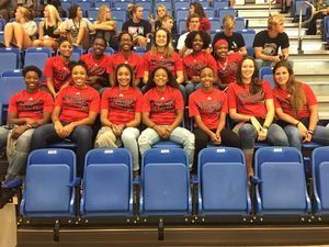 Image post by @FAUWBB on Twitter