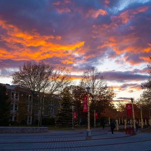 Image post by @stonybrooku on Instagram