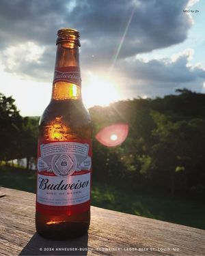Image post by @AnheuserBusch on Facebook