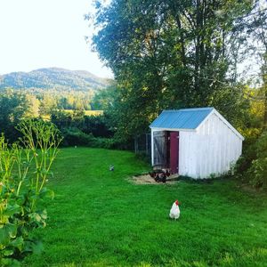 Image post by @themainemag on Instagram