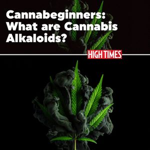Image post by @hightimesmagazine on Instagram