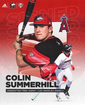 Image post by @NIU_Baseball on Twitter