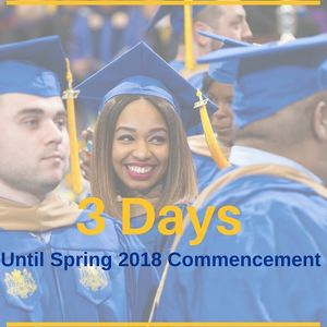 Image post by @hofstrau on Instagram
