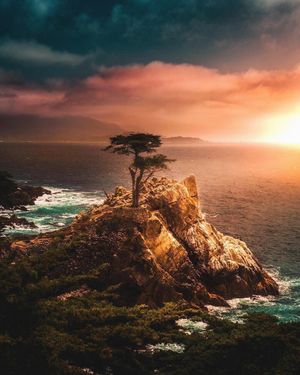 Image post by @pebblebeachresorts on Instagram