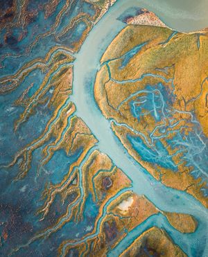 Image post by @dronepals on Instagram