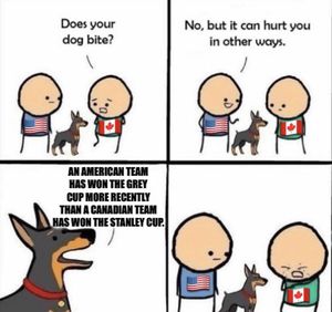 Image post by @hockeyfights on Instagram