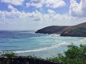 Image post by @steph_smarrelli on Instagram