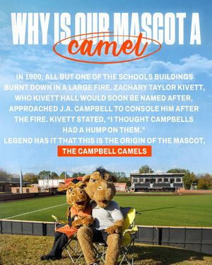 Image post by @GoCamels on Twitter