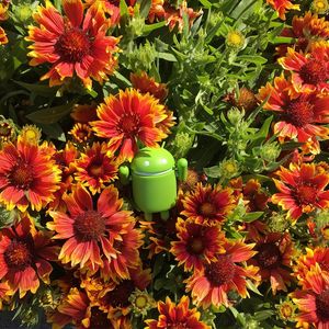 Image post by @google on Instagram