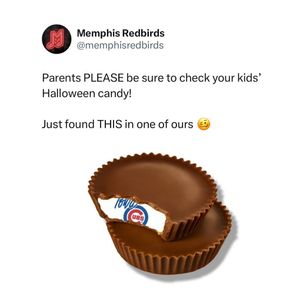 Image post by @memphisredbirds on Instagram