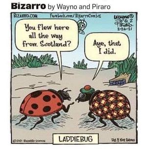 Image post by @standrewstoronto on Instagram