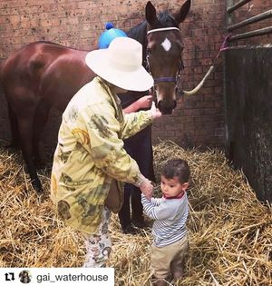 Image post by @australianturfclub on Instagram