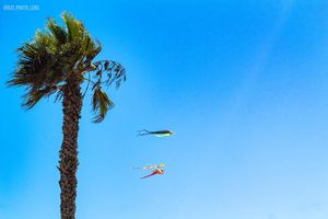 Image post by @djs_photo_lens on Instagram