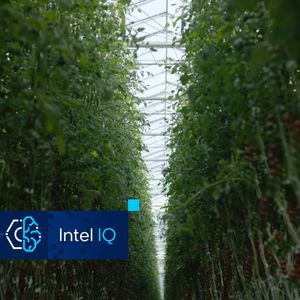 Image post by @intel on Twitter