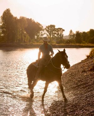 Image post by @diamondcrossranch on Instagram