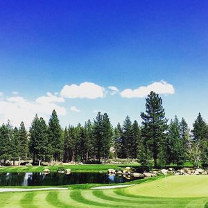 Image post by @barracudachampionship on Instagram