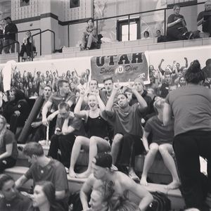 Image post by @utahswimdive on Instagram