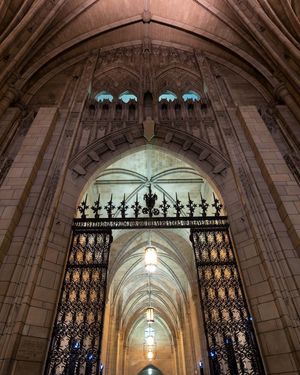 Image post by @pittadmissions on Instagram