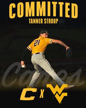 Image post by @thecanesbb on Instagram