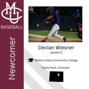 Image post by @mesa.baseball on Instagram