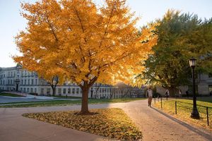 Image post by @uiowa on Instagram